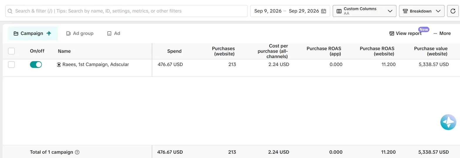 TikTok Ads Case Study: $5,338 in Sales from $477 Ad Spend (11.2x ROAS) — evidence screenshot 1