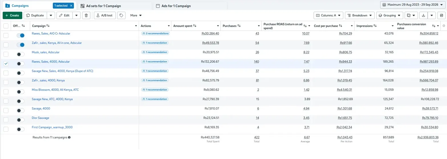 Meta Ads Case Study: $9,789 in Sales from $1,468 Ad Spend (6.67x ROAS) — evidence screenshot 1